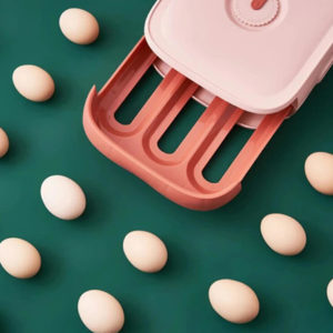 Boîte de Rangement d’Œufs au Réfrigérateur - Gadget Maison